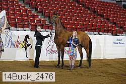 14buck_2476 thumbnail