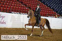 14buck_2533 thumbnail
