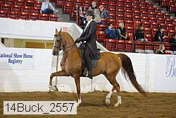 14buck_2557 thumbnail
