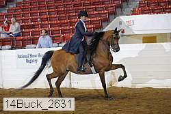 14buck_2631 thumbnail