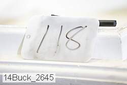 14buck_2645 thumbnail