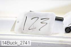 14buck_2741 thumbnail