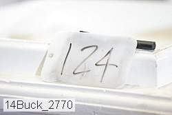 14buck_2770 thumbnail