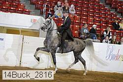 14buck_2816 thumbnail