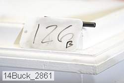 14buck_2861 thumbnail