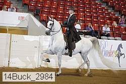 14buck_2984 thumbnail