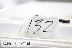 14buck_3094 thumbnail