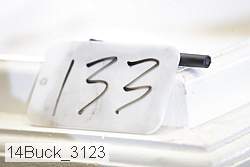 14buck_3123 thumbnail