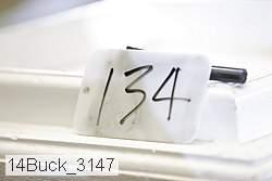 14buck_3147 thumbnail