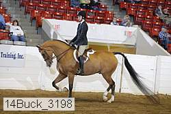 14buck_3198 thumbnail