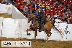 14buck_3211 thumbnail