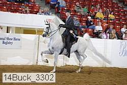 14buck_3302 thumbnail