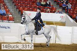 14buck_3312 thumbnail