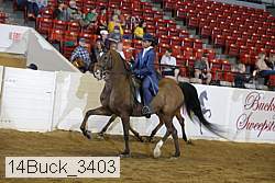 14buck_3403 thumbnail