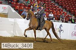 14buck_3406 thumbnail