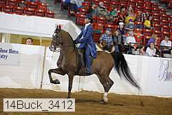 14buck_3412 thumbnail