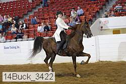 14buck_3422 thumbnail