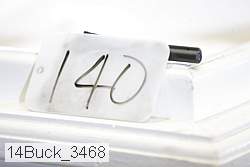 14buck_3468 thumbnail