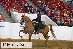 14buck_3504 thumbnail