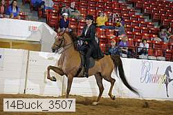 14buck_3507 thumbnail