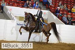 14buck_3551 thumbnail