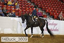 14buck_3609 thumbnail