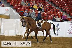 14buck_3623 thumbnail