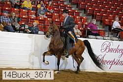 14buck_3671 thumbnail