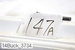 14buck_3734 thumbnail