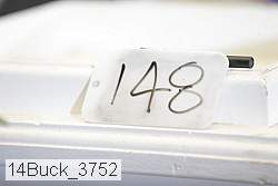 14buck_3752 thumbnail