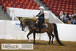 14buck_3880 thumbnail