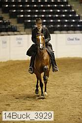 14buck_3929 thumbnail