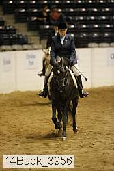 14buck_3956 thumbnail