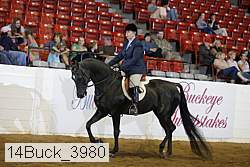 14buck_3980 thumbnail