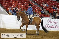 14buck_3981 thumbnail