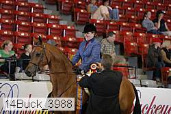 14buck_3988 thumbnail