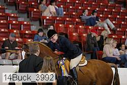 14buck_3992 thumbnail