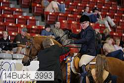 14buck_3993 thumbnail