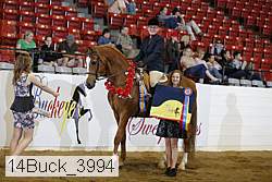 14buck_3994 thumbnail