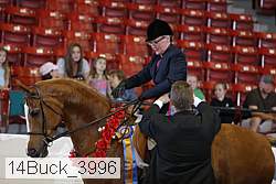 14buck_3996 thumbnail