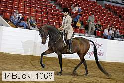 14buck_4066 thumbnail