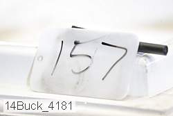 14buck_4181 thumbnail