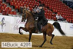 14buck_4201 thumbnail
