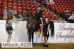 14buck_4220 thumbnail