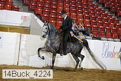 14buck_4224 thumbnail