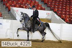 14buck_4225 thumbnail