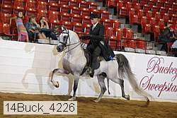 14buck_4226 thumbnail