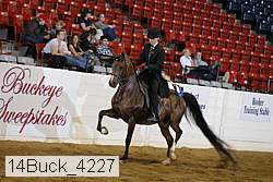 14buck_4227 thumbnail