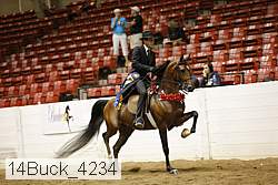 14buck_4234 thumbnail
