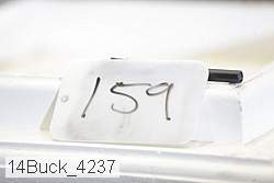 14buck_4237 thumbnail